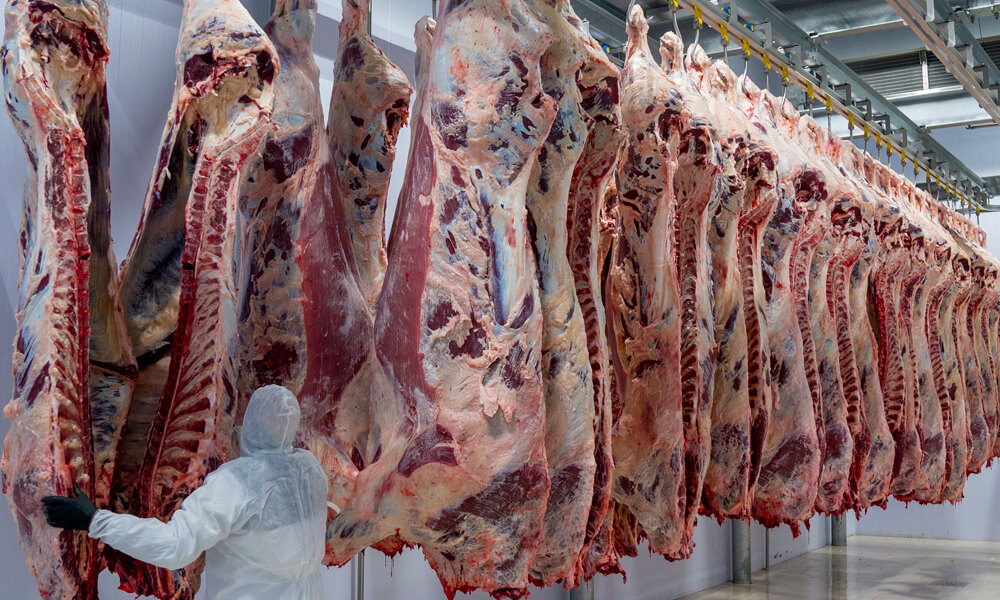 Beef processing quality control